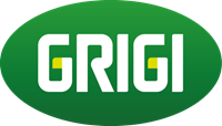 logo-grigi